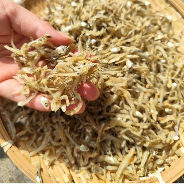 海南儋州海捕小银鱼丁香鱼淡晒小鱼仔油煎下饭小鱼干干货