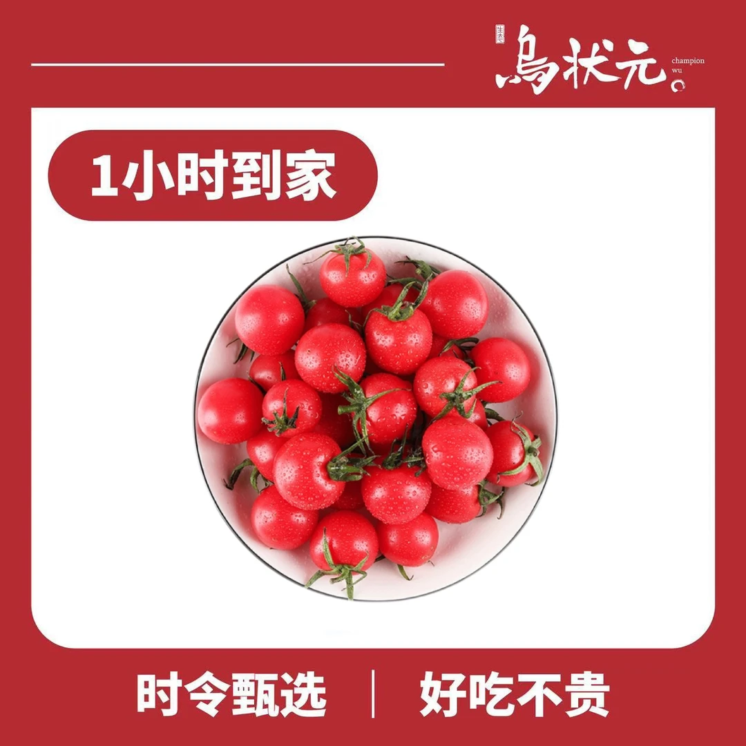 玲珑小番茄490-500g/盒