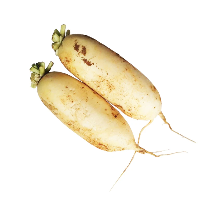 鹅鼻白萝卜  约1.3kg-1.5kg