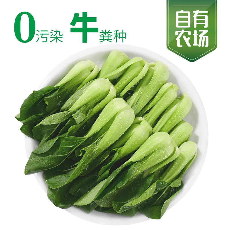 上海青苗300g/份 武夷一方田