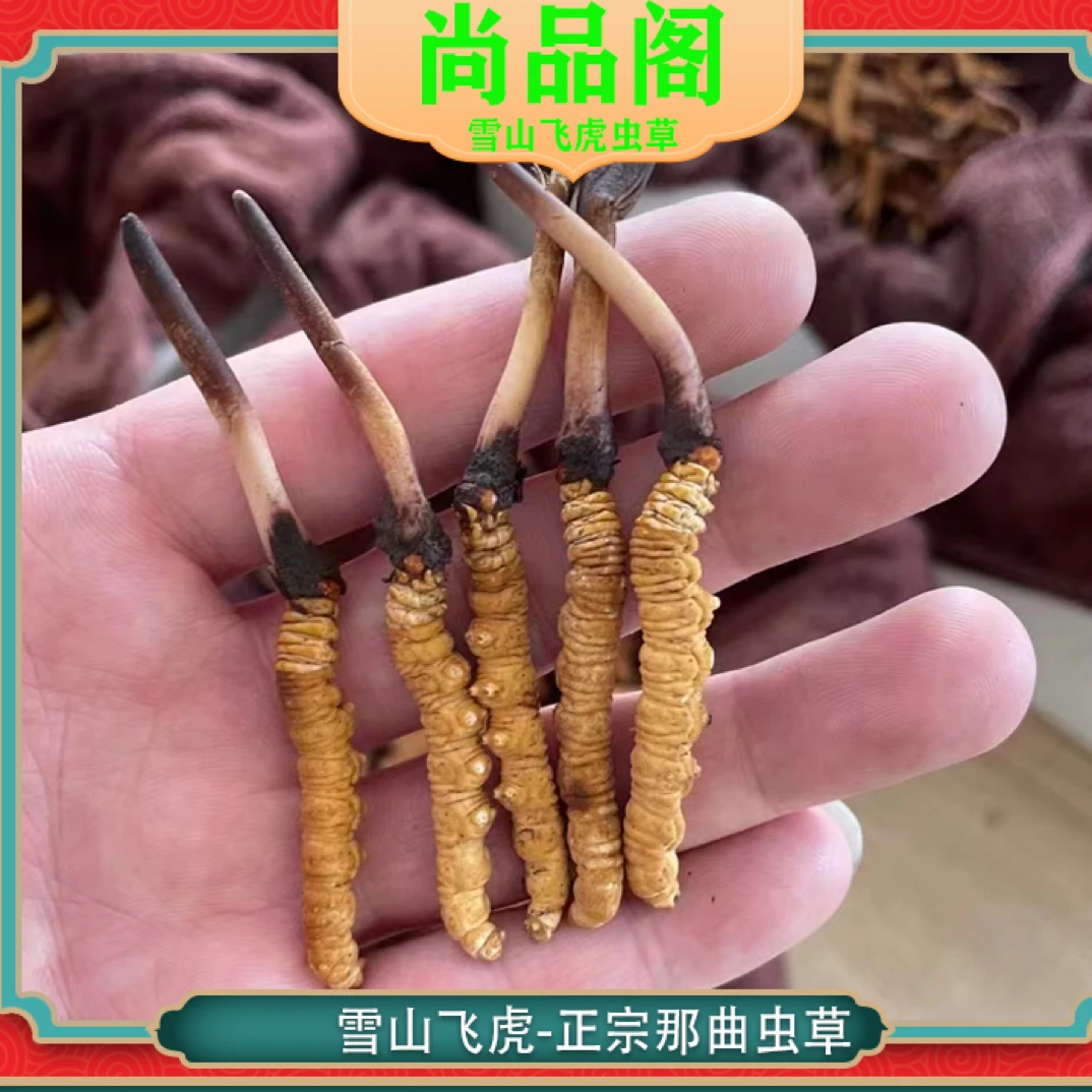 【尚品阁】1g～那曲玛如乡鲜草