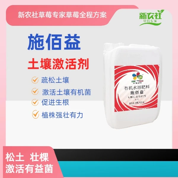 草莓生根壮苗施佰益