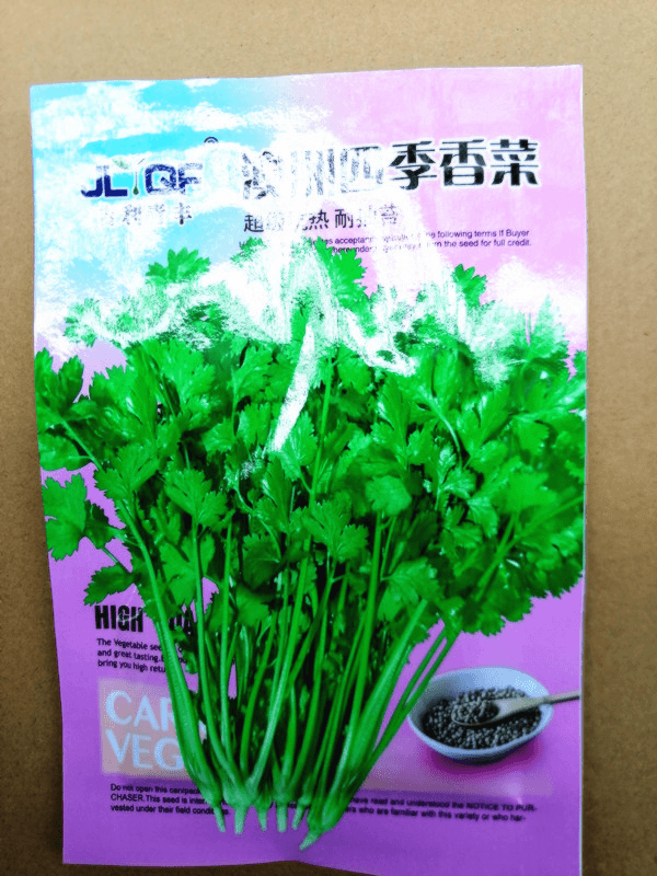 四季香菜种子耐抽薹香菜籽农家香菜种子四季播种盆栽蔬菜种子