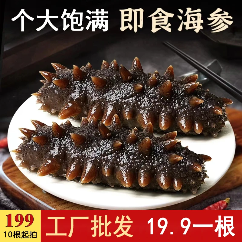 鲜食海参10头辽刺参正宗大连辽参营养高品质开袋即食多仓发货lj