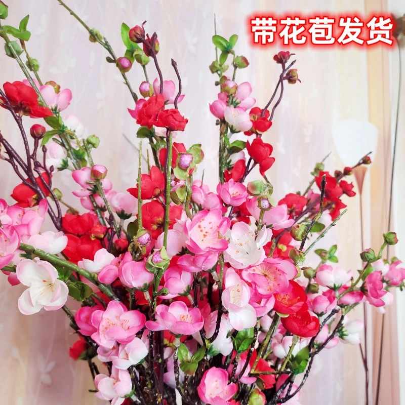 【新人福利9.9元40支】新年年宵花卉红梅干枝水培鲜花真花开花红梅