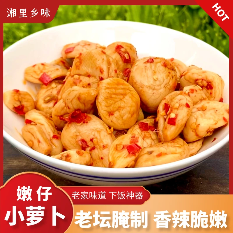 湖南香辣嫩仔小萝卜农家腌萝卜脆爽下饭菜酱萝卜坛子菜咸菜萝卜干