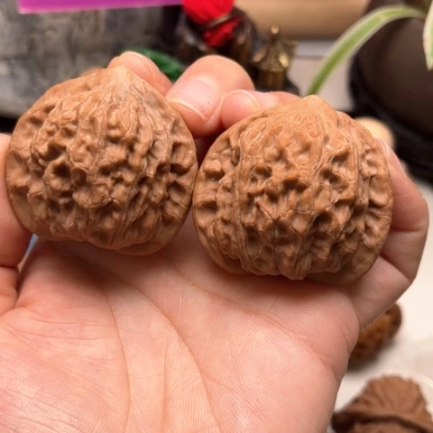 文玩核桃把件思**厚公子帽