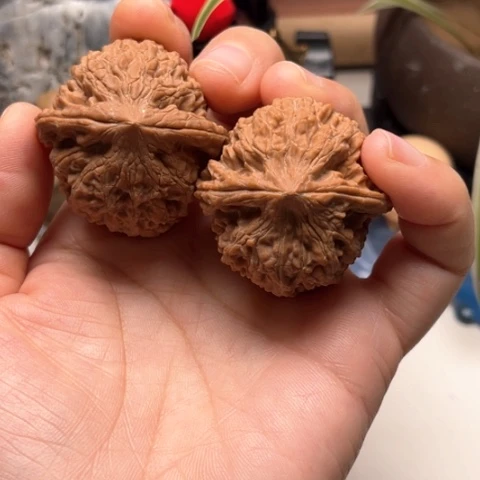 文玩核桃把件否*牡丹纹