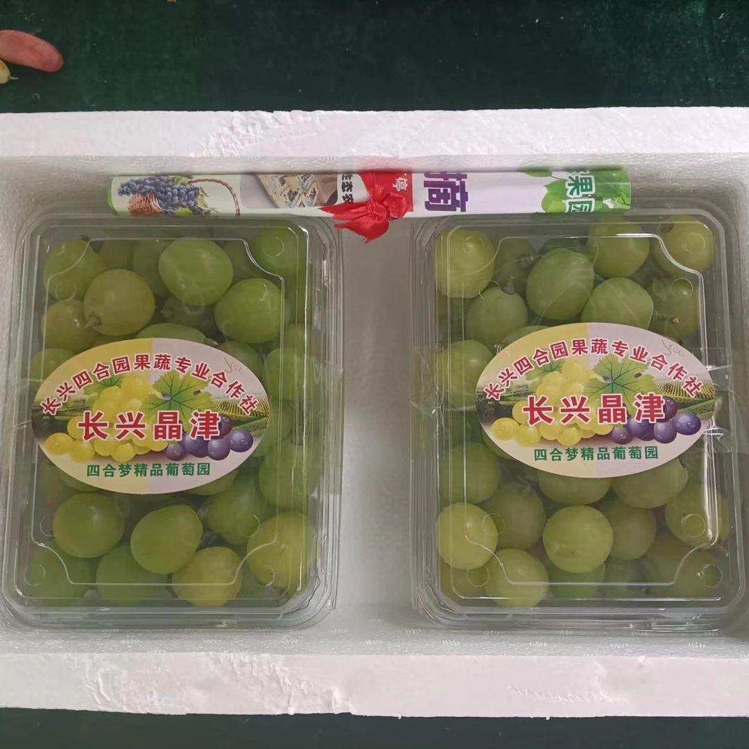 晴王大果精品（新人福利）散装果不甜，不香，不脆多可退