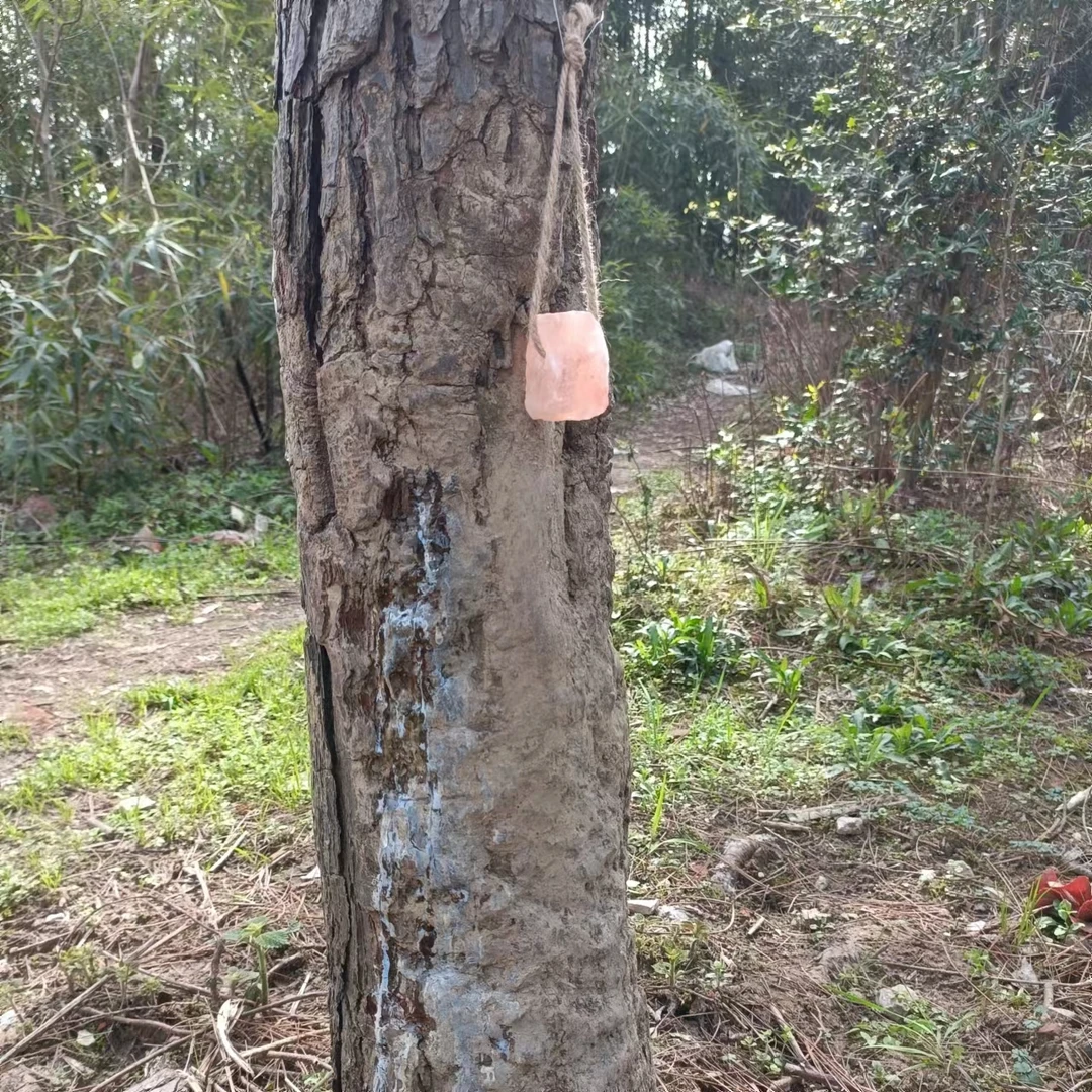 养殖场牛羊马猪兔驴舔盐补充微量元素