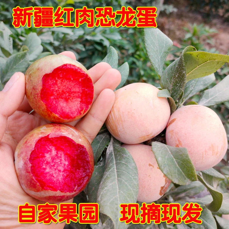自家果园大果红心恐龙蛋粉皮红肉恐龙蛋新鲜水果香甜多汁空运包邮
