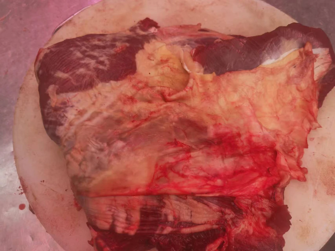 【牛腩】一物一拍