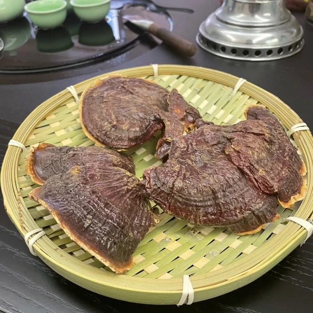 福运源优选鱼胶 广东汕头鱼胶 灵芝鱼胶专属链接 1-500g