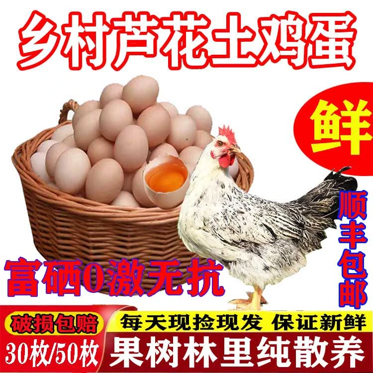 顺丰包邮富硒可生食芦花鸡蛋新鲜土鸡蛋