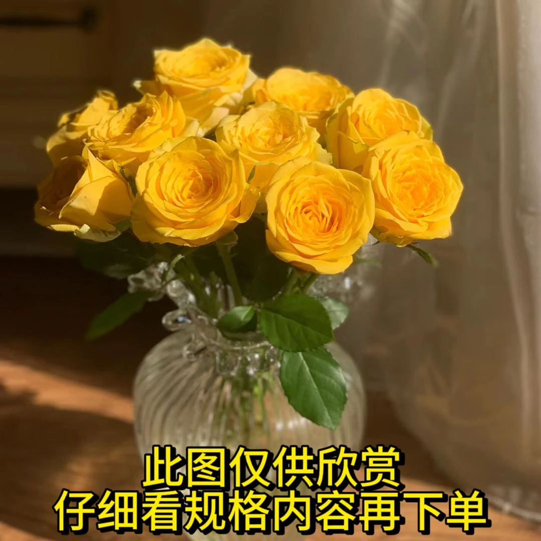 【富贵黄玫瑰】 一单也包邮 任意满2单升级冷链或空运 云南鲜花