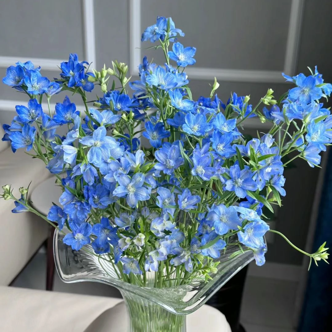 【蓝色小飞燕】鲜花任意2单以上包邮升级空运或冷链 云南鲜花