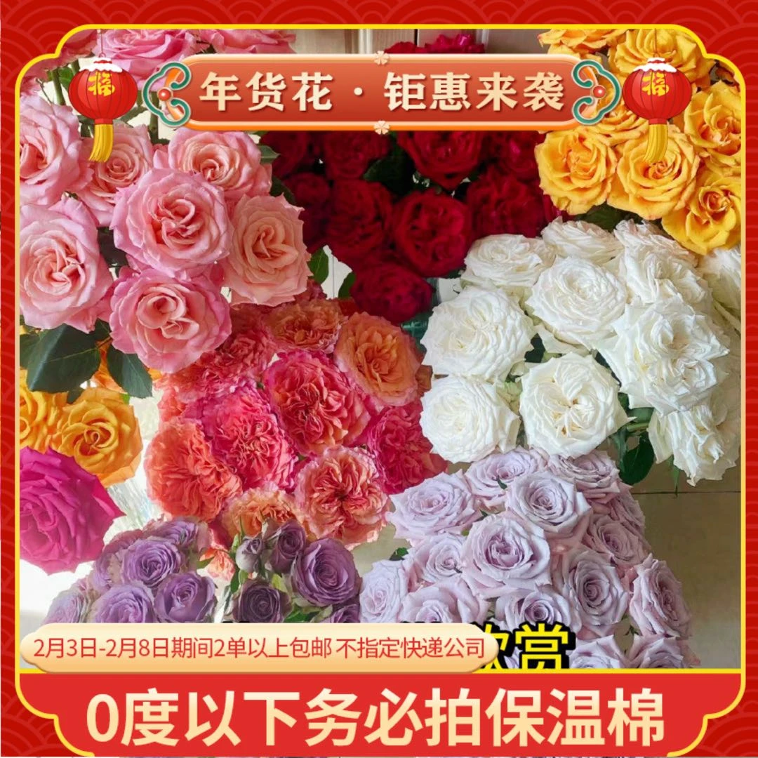 【捡漏组合二】发货后不支持退款和拒收 链接自带保温棉 云南鲜花