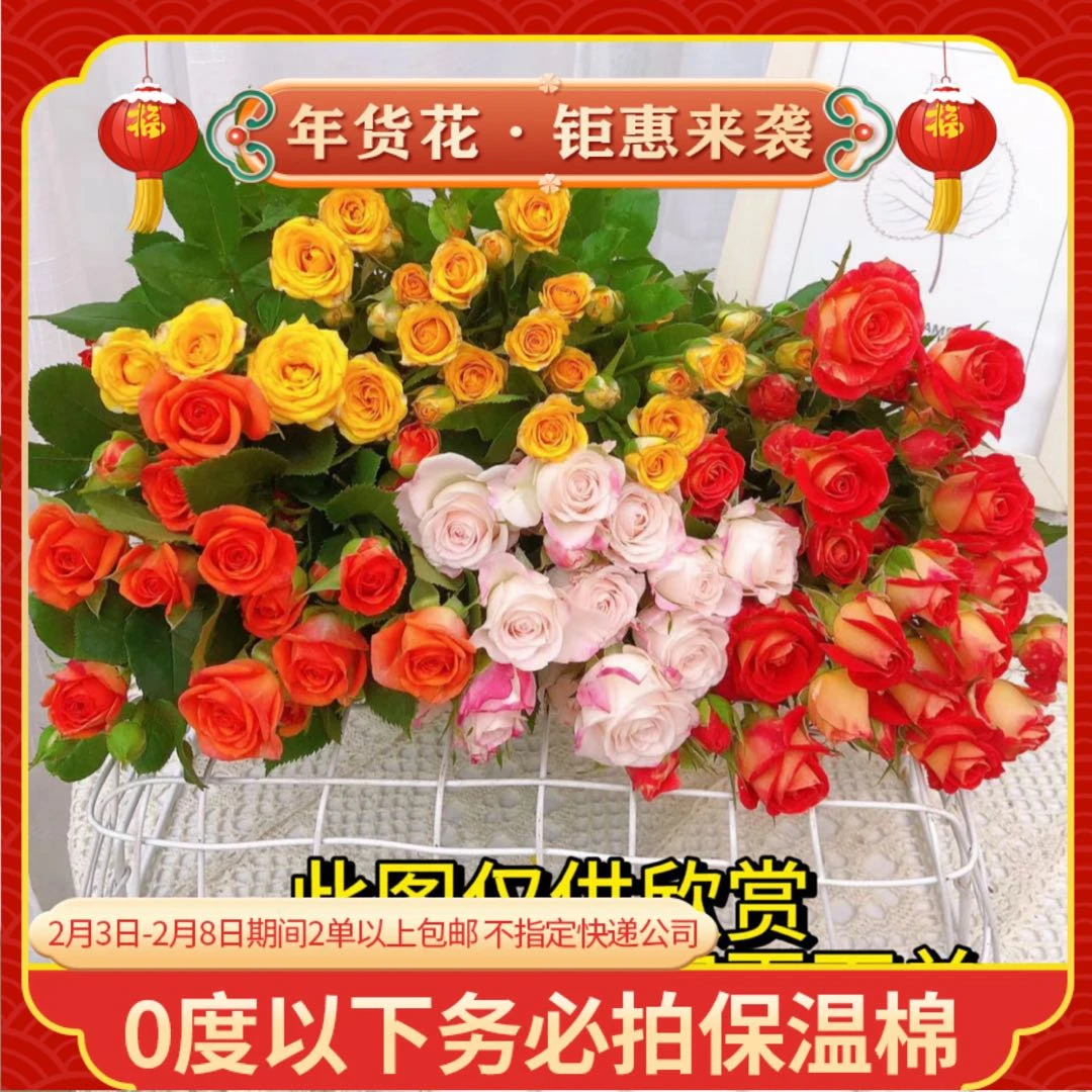 【多头玫瑰】发货后不支持退款和拒收 鲜花任意2单以上包邮 鲜花