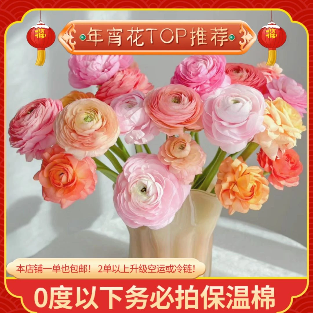 【不选色洋牡丹】一单也包邮 鲜花任意2单以上升级空运或冷链 鲜花