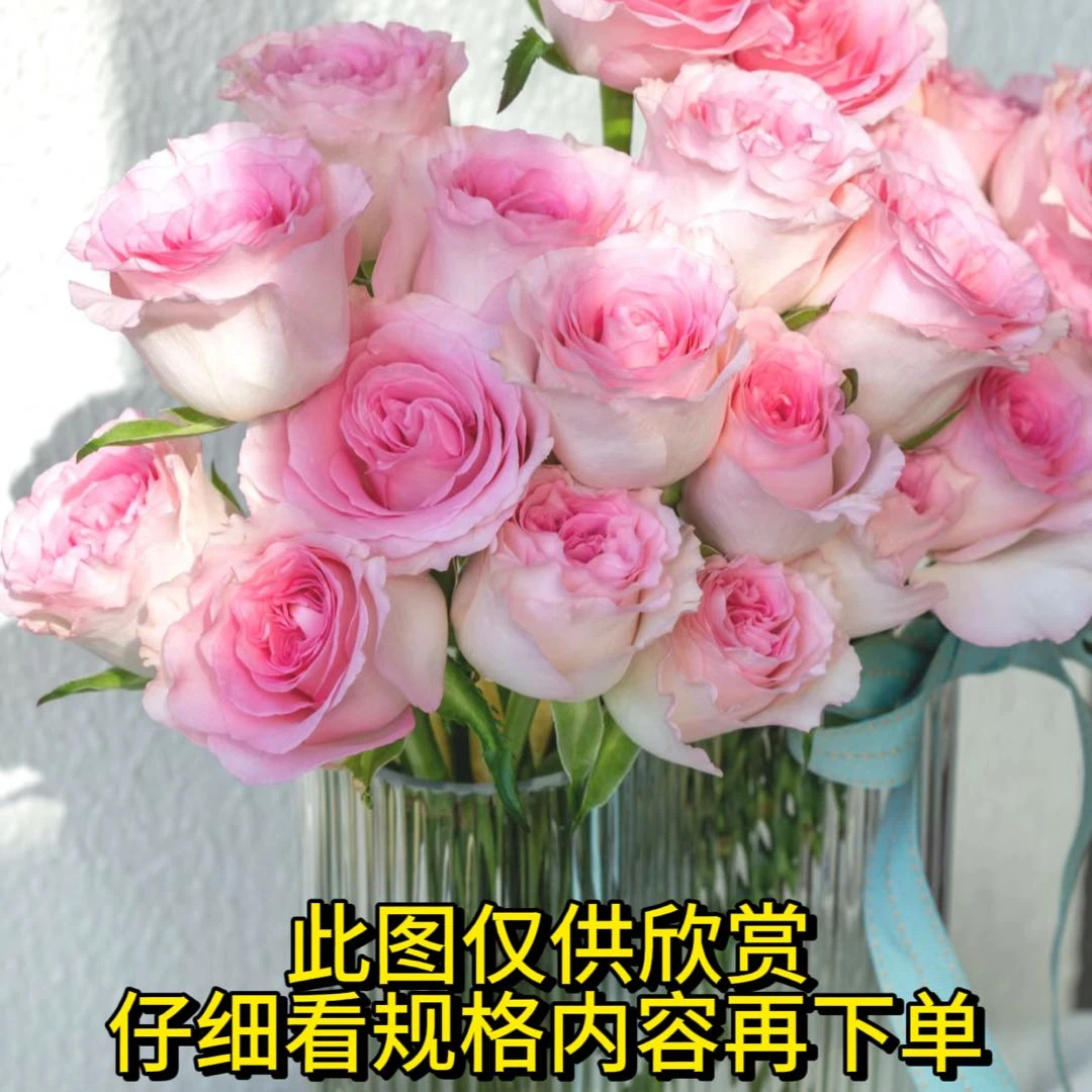 【洛神玫瑰】一单也包邮 花店批发拿货 粉丝送保鲜剂 云南鲜花