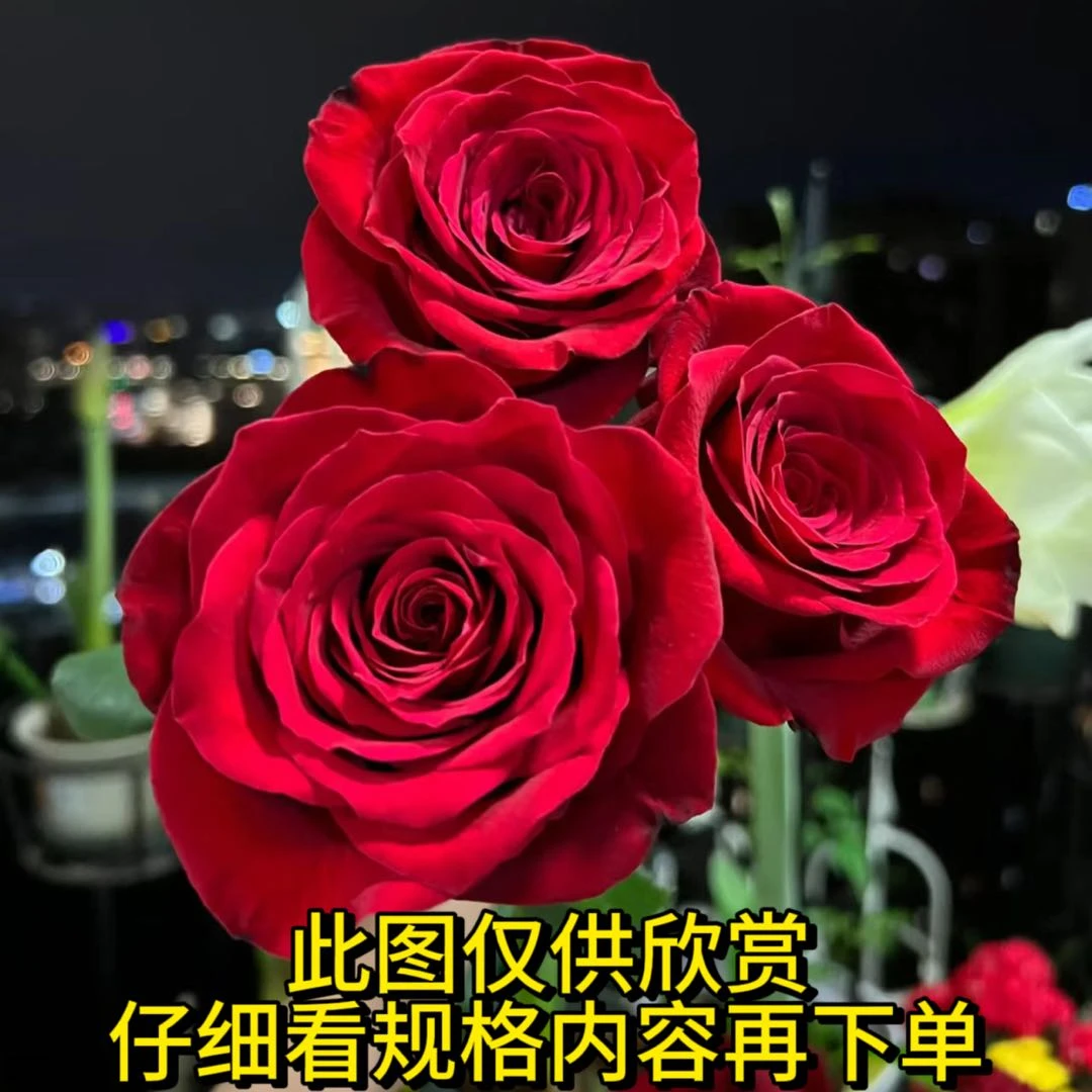 【红玫瑰】鲜花任意2单以上包邮 不支持指定快递公司 云南鲜花
