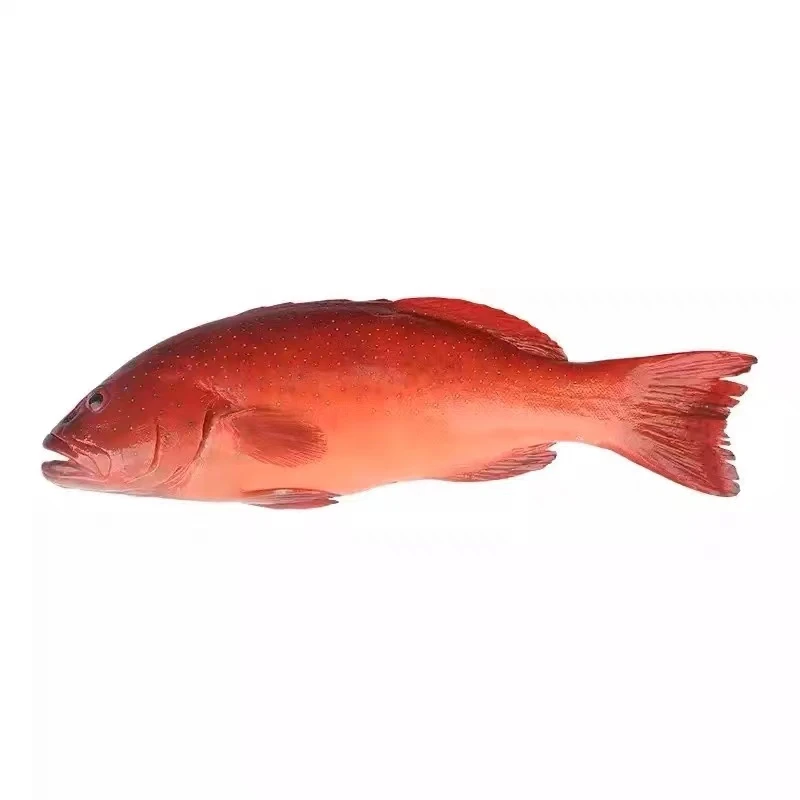 【直拍】一单一称 小海鲜 江浙沪包邮顺丰直发