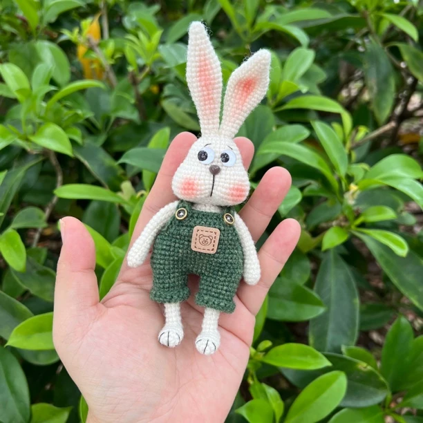 专改链接   先直播间选品后下单  毛线公仔 夹子 发圈 包包