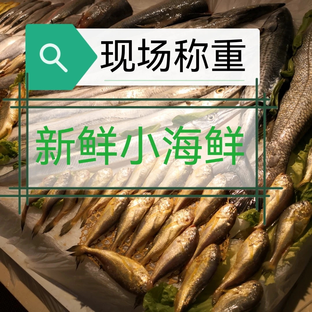 小海鲜梭子活发