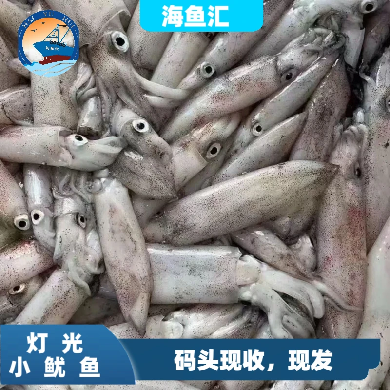 【码头直发】野生灯光活小管 福建省祥芝港海鲜 顺丰冷链新鲜发货