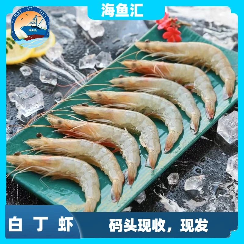 【码头直发】野生白丁虾 福建祥芝港海鲜 顺丰冷链发货