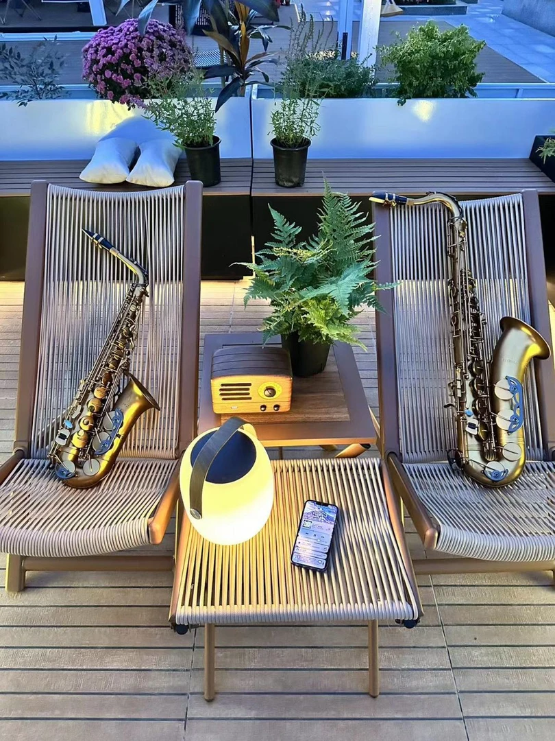 六个圈香槟金冬至399萨克斯