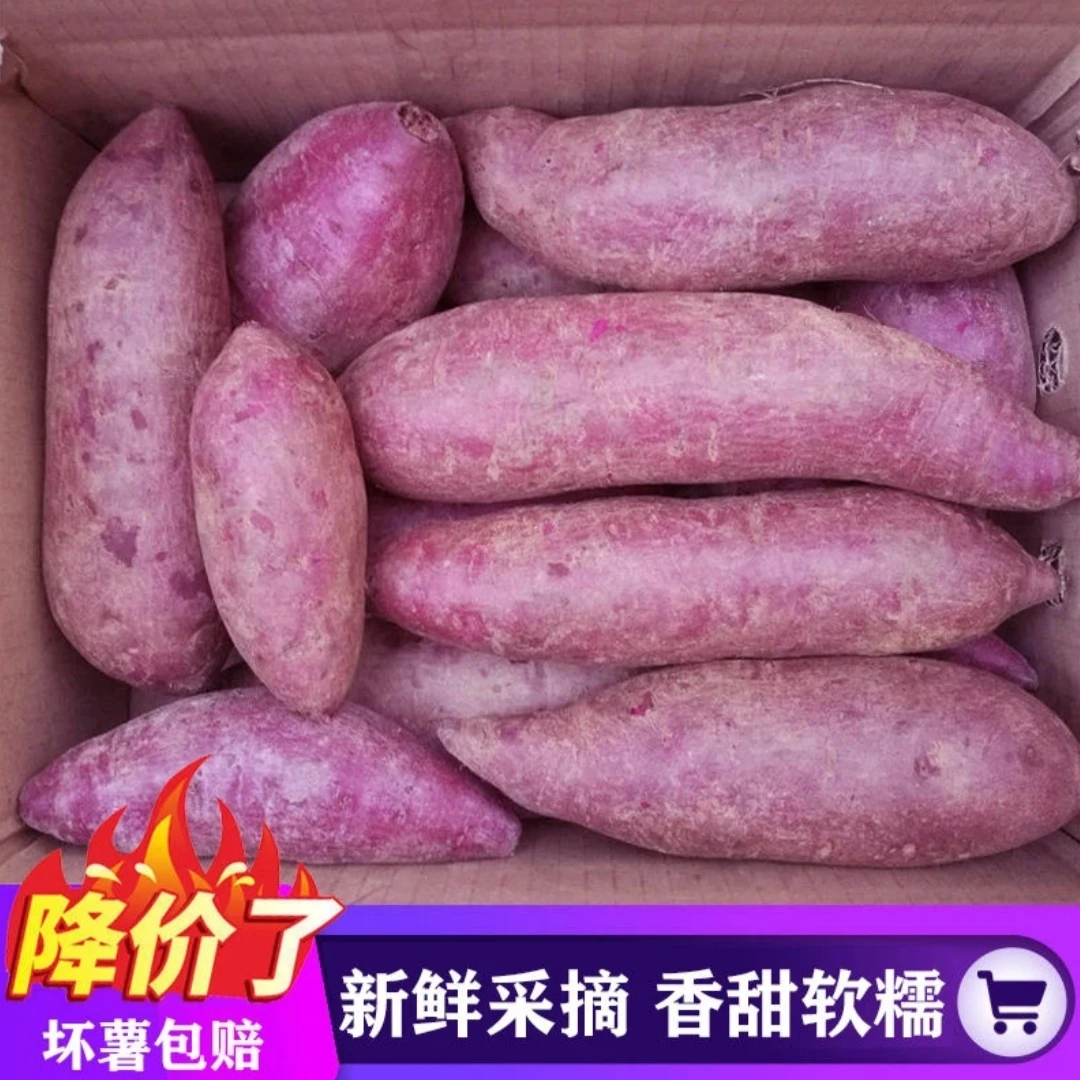 【新店特惠】新鲜沙地紫薯紫罗兰粉糯香甜1-9斤地瓜干番薯产地直发