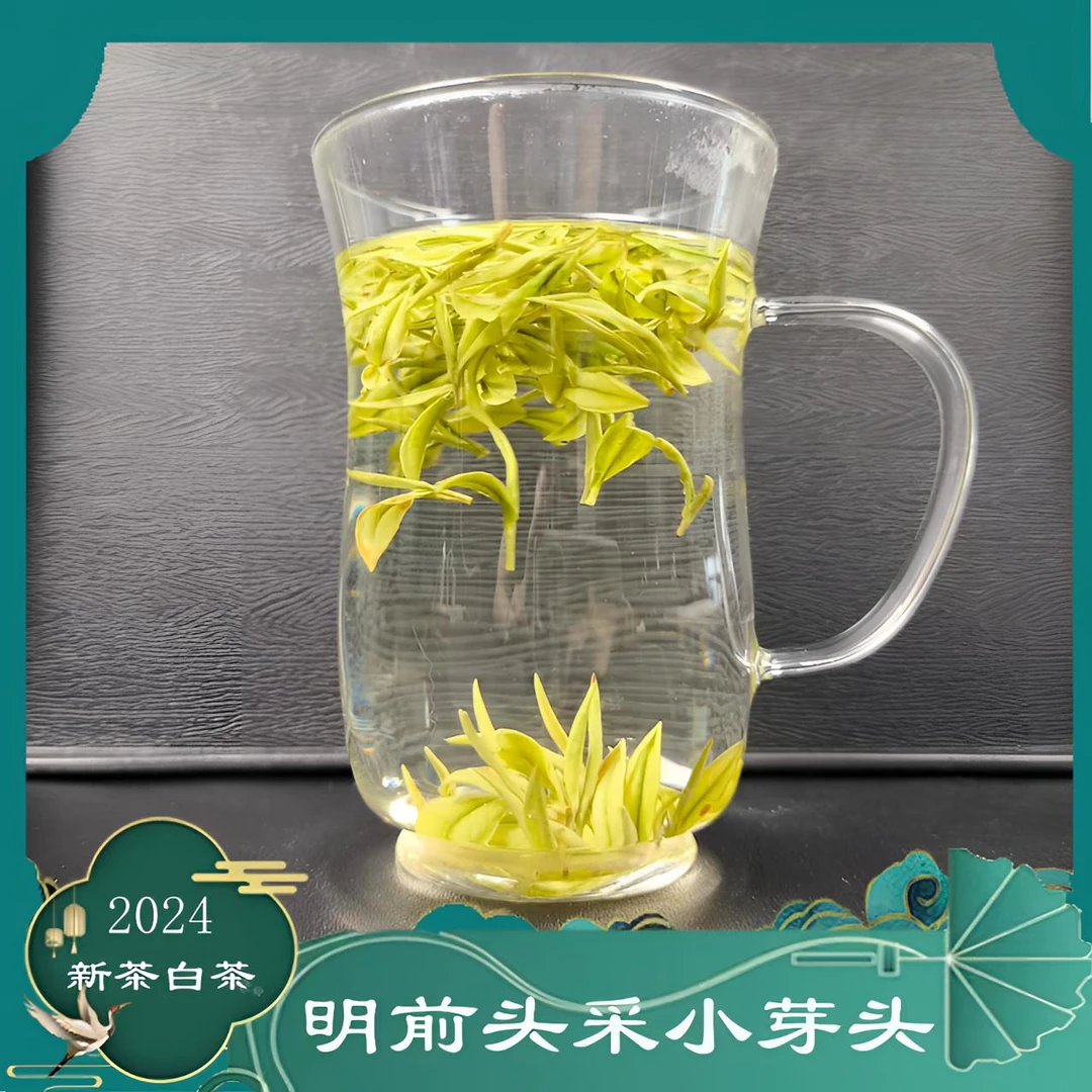 正宗明前特级小芽头白茶新茶高山采摘送人好茶绿茶兰花果香05