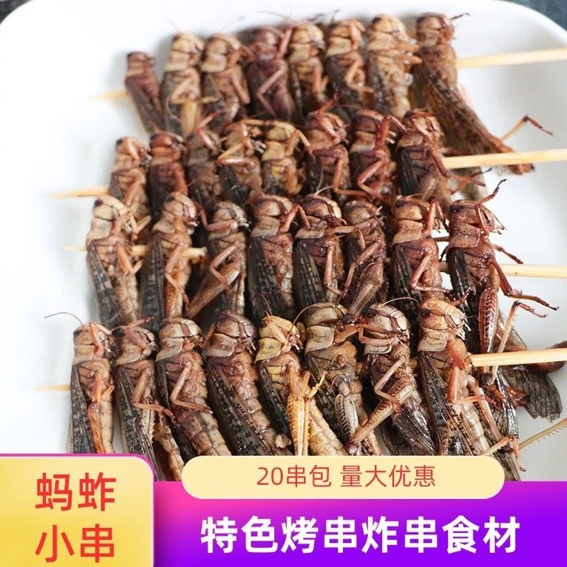 蚂蚱串20串蝗虫串蚱蜢串烧烤油炸冷冻半成品商用网红小吃食材昆虫