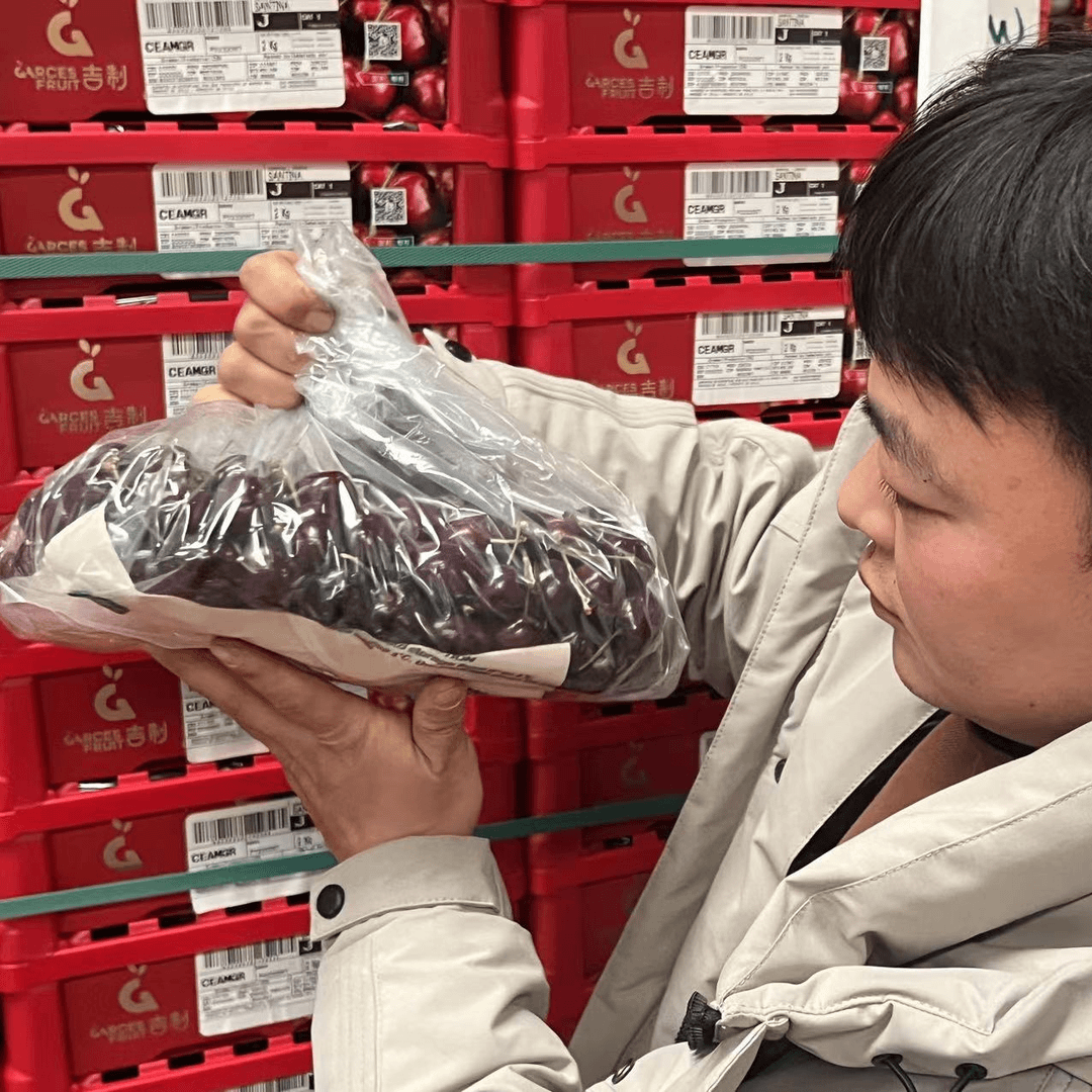 【同城配送】吉制大G小红盒单JD4斤装桑提娜