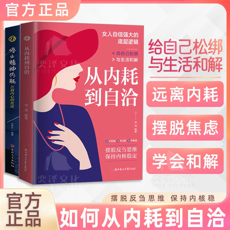 从内耗到自洽 远离内耗 摆脱焦虑 摆脱反刍思维保持内核稳定