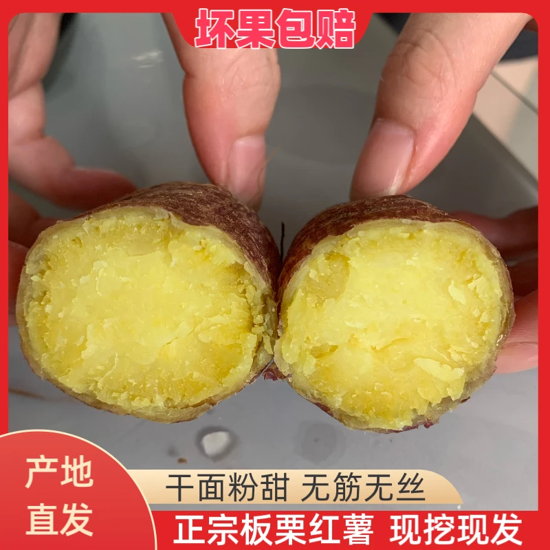 【济薯26】板栗红薯干面粉甜红皮黄心精品现挖现发粗粮蜜薯5斤净重