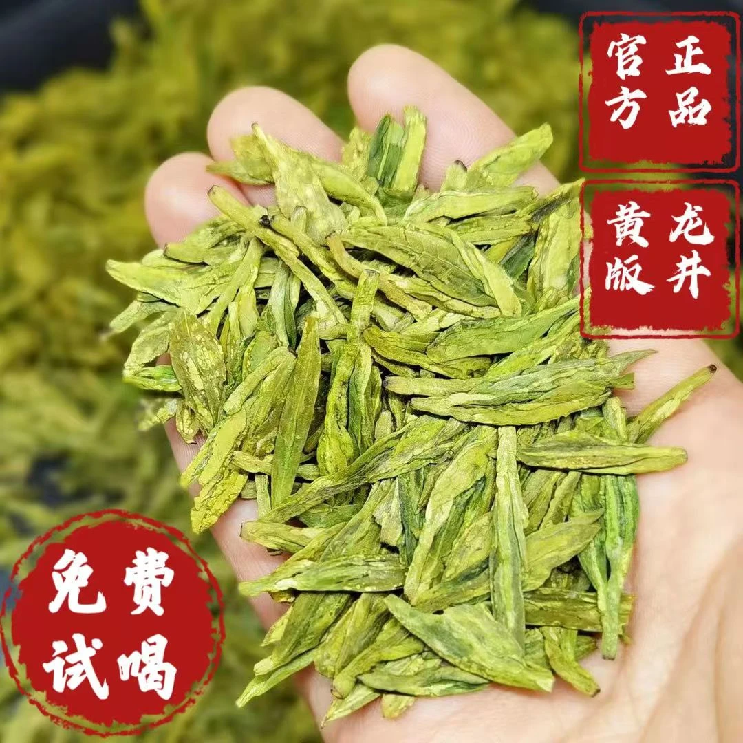 【豆香龙井Y240】春茶龙井茶浓香豆香型散装黄绿茶香浓郁罐装茶叶