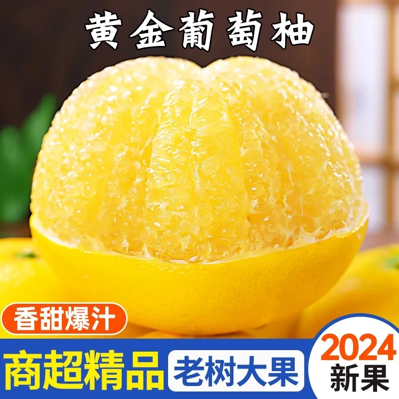 福建漳州黄金葡萄柚子爆汁薄皮多汁蜜柚甜橘柚新鲜当季整箱包邮