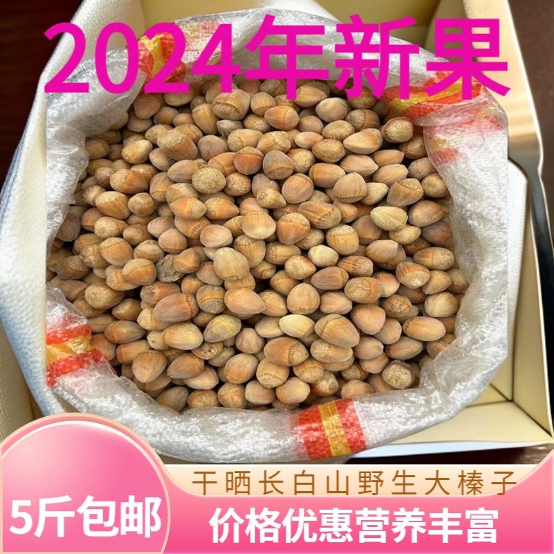 东北特产大榛子新鲜采摘 晒半干 生榛子坚果 野生榛子 5斤