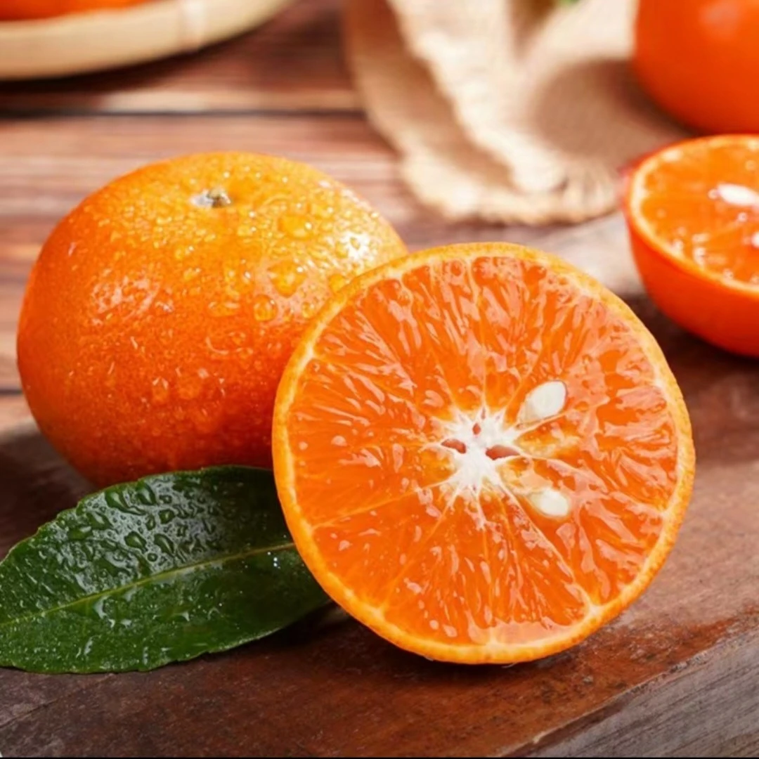 老树花皮果广西特产沃柑清甜脆新鲜采摘产地直发5/8斤