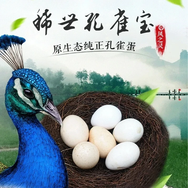 凤之灵富硒鲜孔雀蛋/食用高蛋白备孕妇月子送礼盒食用蛋