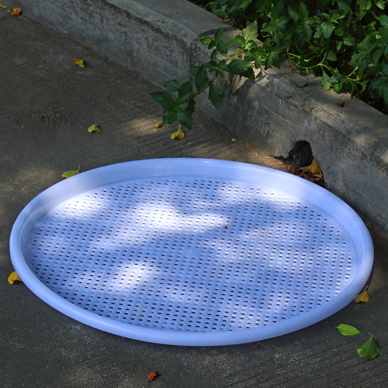 农用家用圆米筛谷筛簸箕仿竹筛塑料有孔晾晒干货茶叶香菇药材筛子