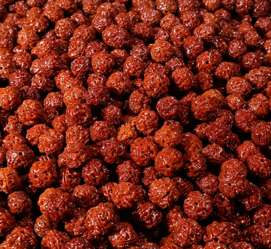 文玩金刚菩提珠规格1.7cm散珠【新新专用】