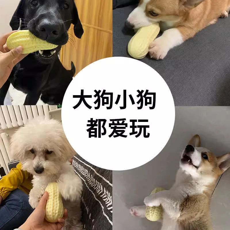 狗狗玩具解闷发声花生磨牙耐咬犬斗牛小型犬比熊边牧宠物狗狗玩具