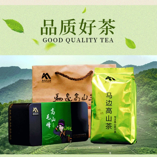 马边高山茶毛峰绿茶茶叶早春新茶生态茶浓香型盒装250克