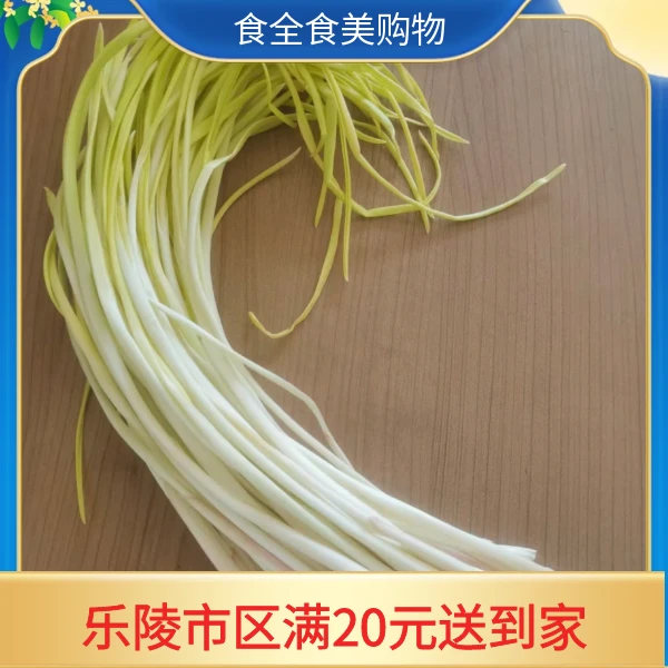新鲜现割蒜黄（500g）