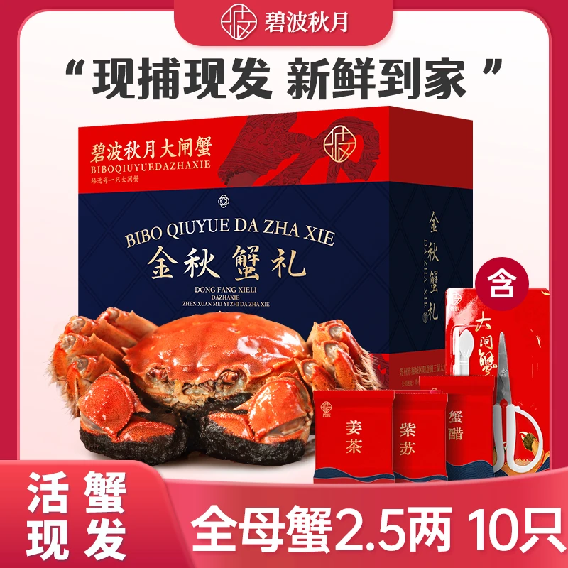 【碧波秋月】全母蟹大闸蟹活蟹2.5两/只*10只 礼盒包装