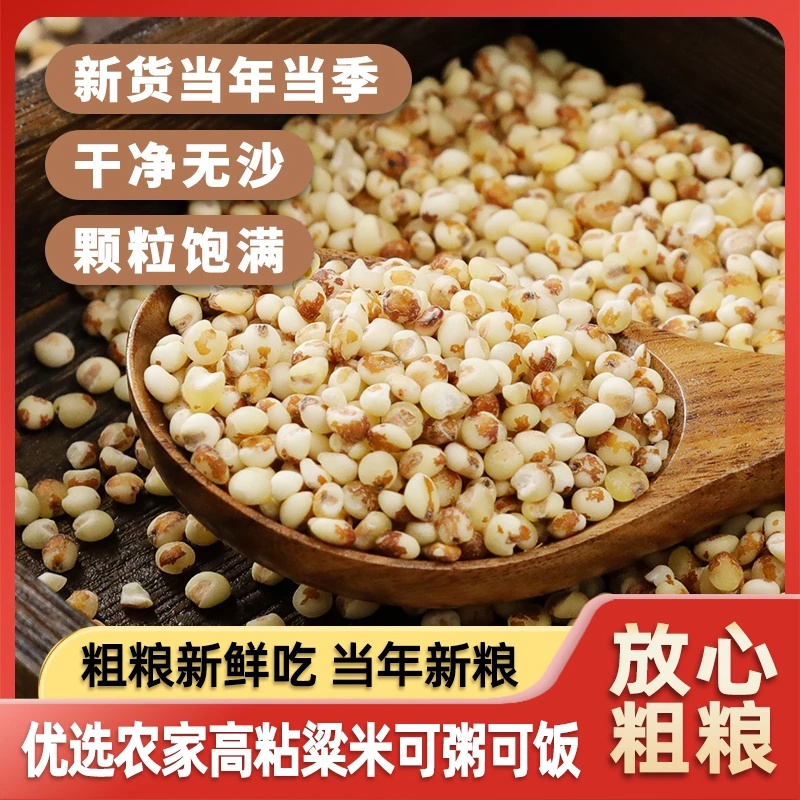 好吃粘高粱米5斤/10斤粘糯红高粱酿酒粗粮杂粮高粱熬粥营养饱满