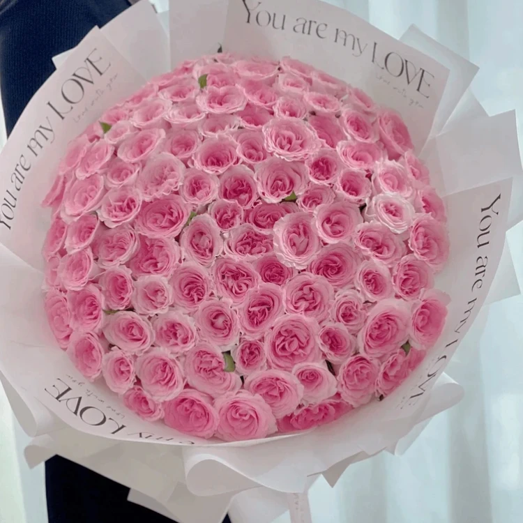 【全国同城配送】洛神粉玫瑰花束鲜花同城团购鲜花小时达花店告白